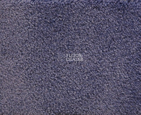 Ковролин Radici Lord Lavanda 246C фото 1 | FLOORDEALER